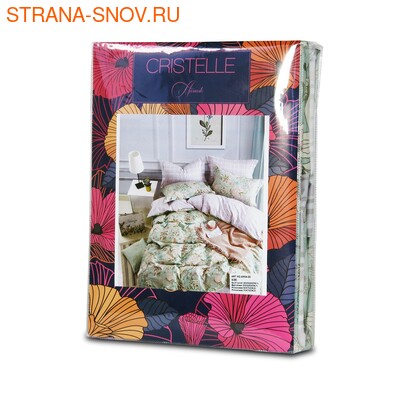 AM01-138 Cristelle Amante     1,5- (,  1)